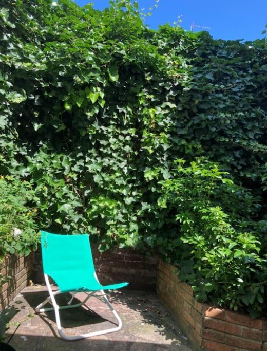 Comme Une Maison, Duplex Terrasse Hypercentre De Trouville Екстериор снимка
